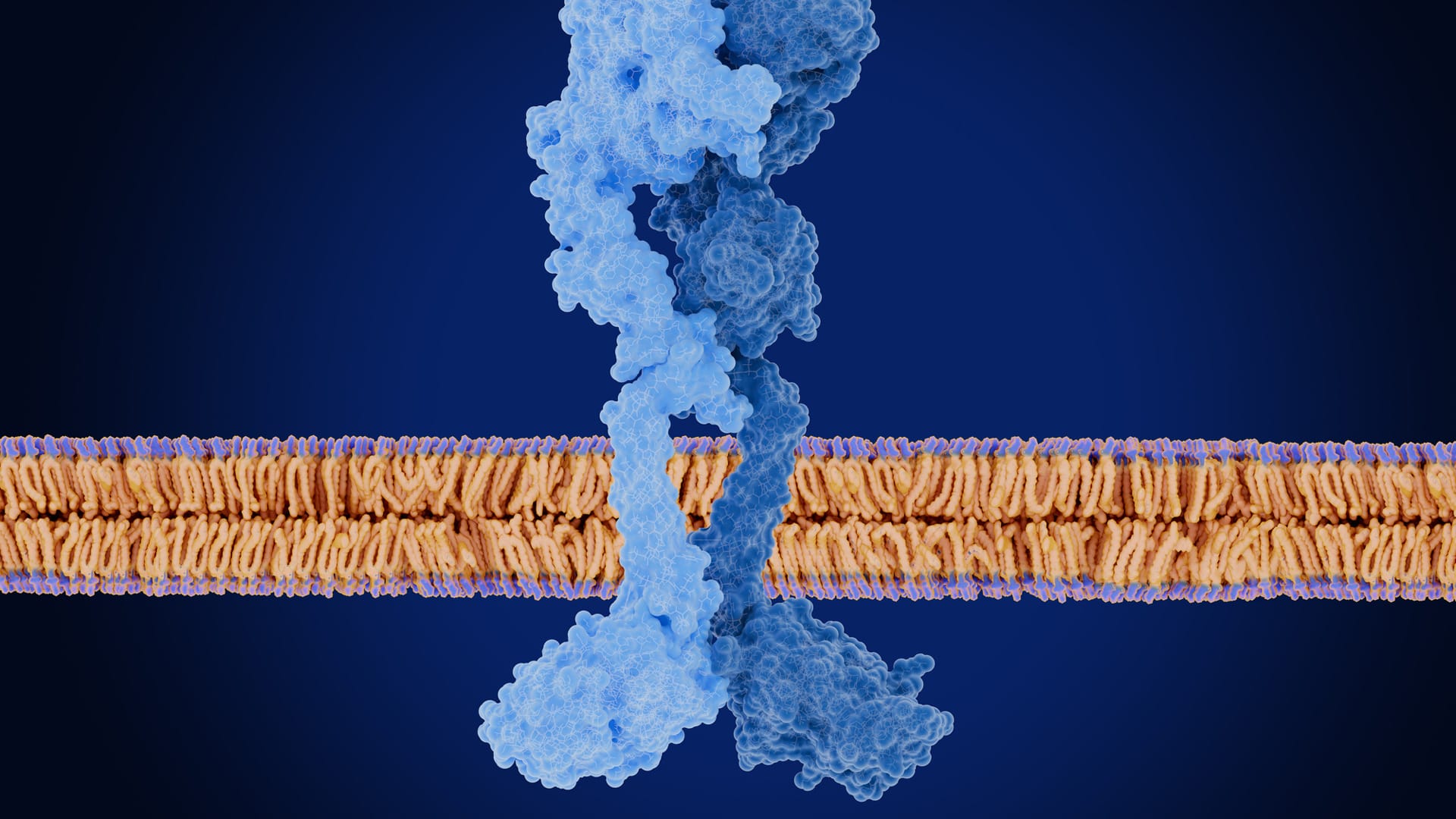 CourseImage_GrowthFactors_1920x1080