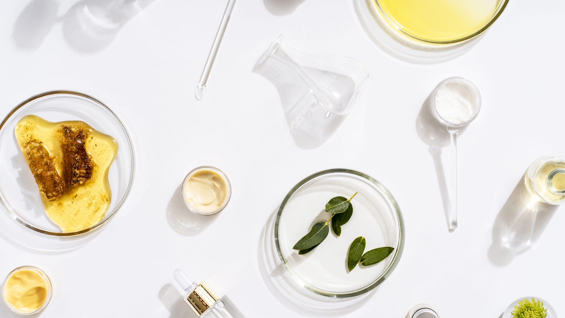 CourseImage_Ingredients101_1920x1080