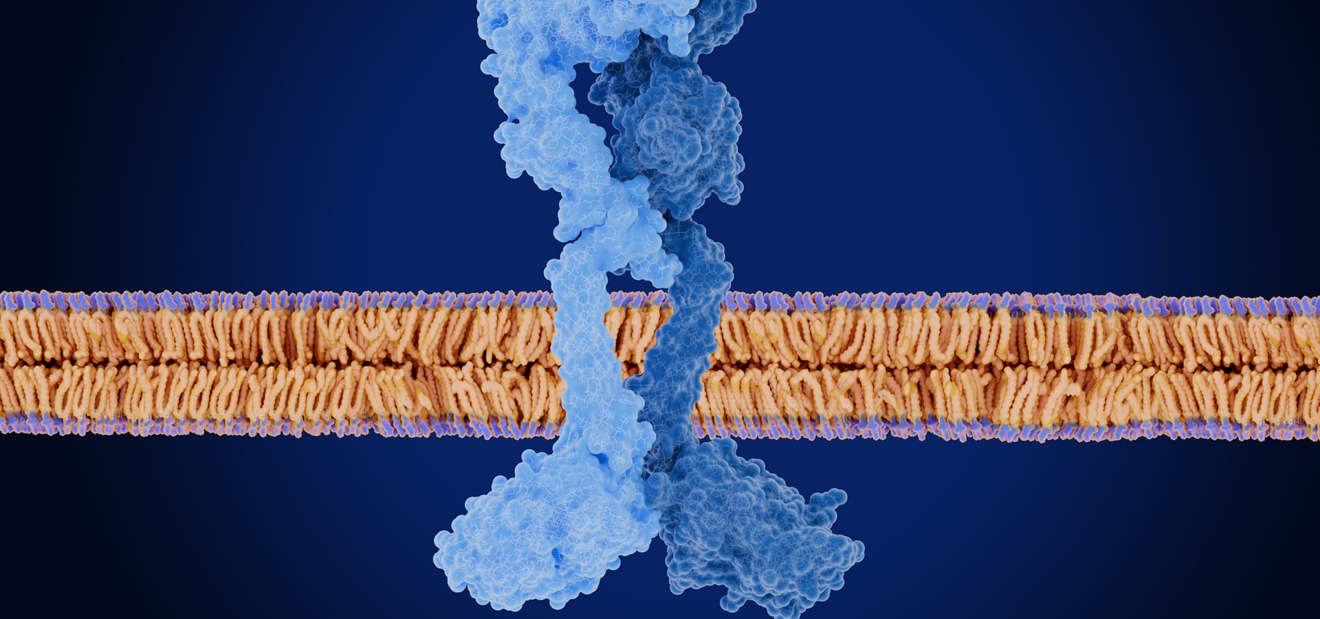 EDU_growthFactors_1920x900