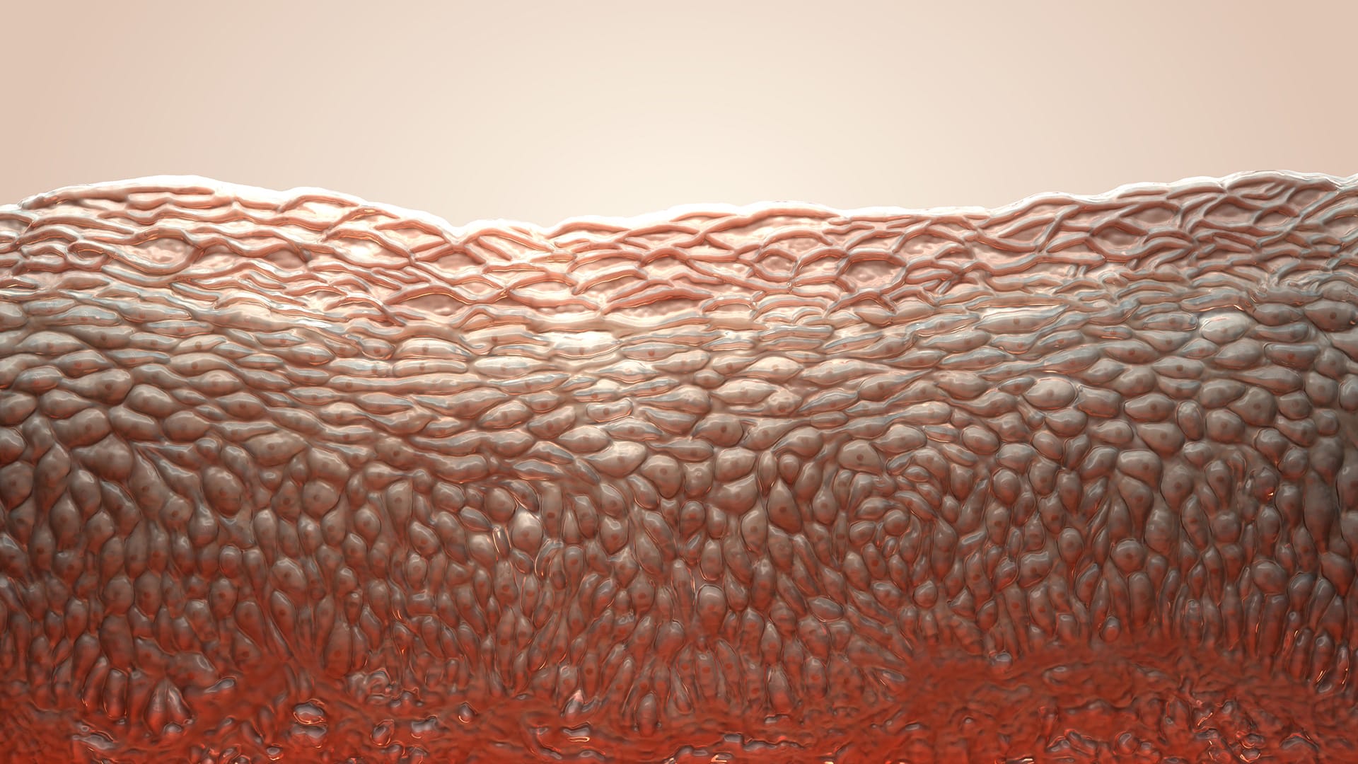 CourseImage_Skin101_1920x1080
