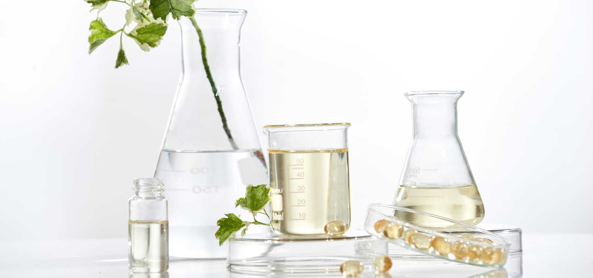 EDU_addlIngKnowledge_1920x900