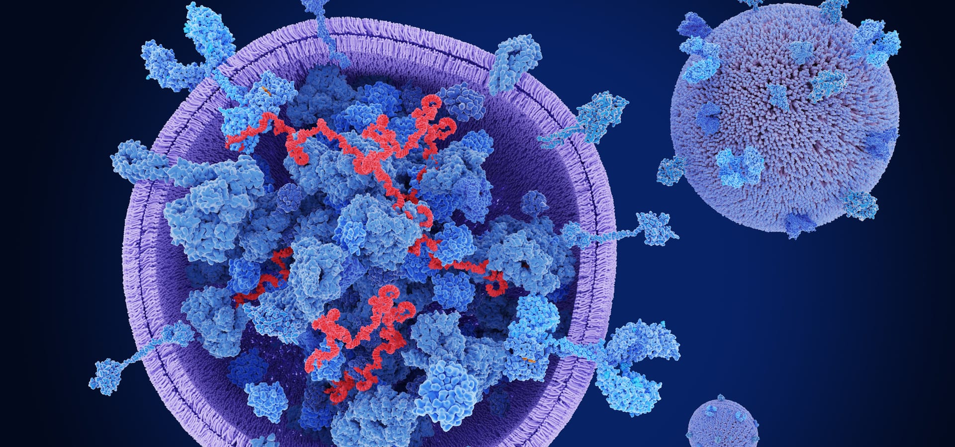 EDU_exosomes_1920x900